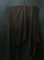 Still life (black), oil on canvas, 100cm x 75cm, 2017