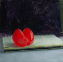 Apple, oil on canvas, 24cm x 24cm, 2023