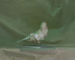 Asetelma (lintu vihreässä valossa), öljy kankaalle, 40cm x 45cm, 2021